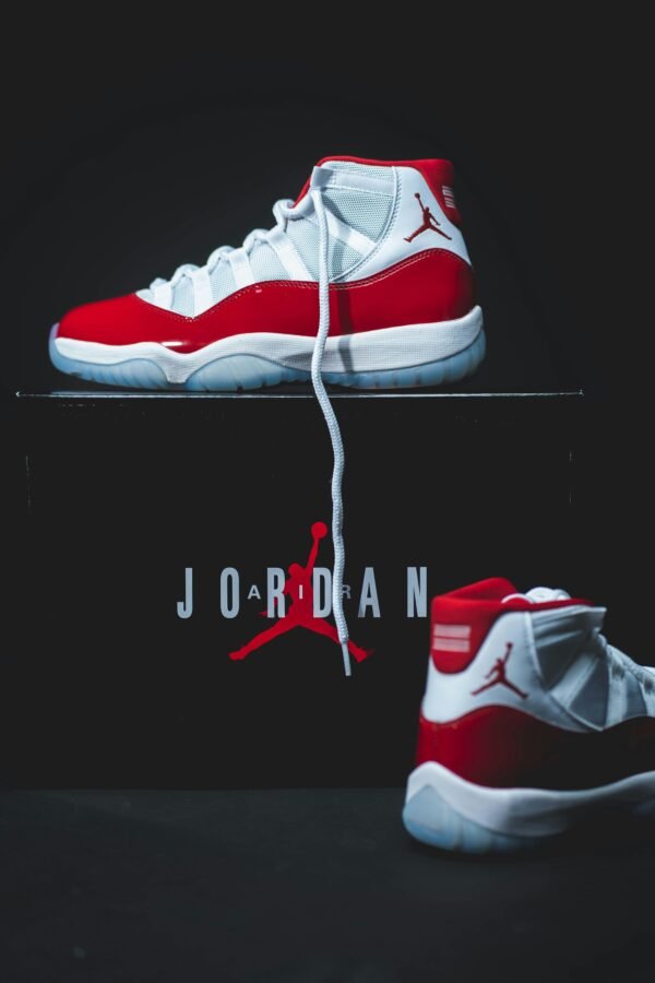 Air Jordan 11 Retro.