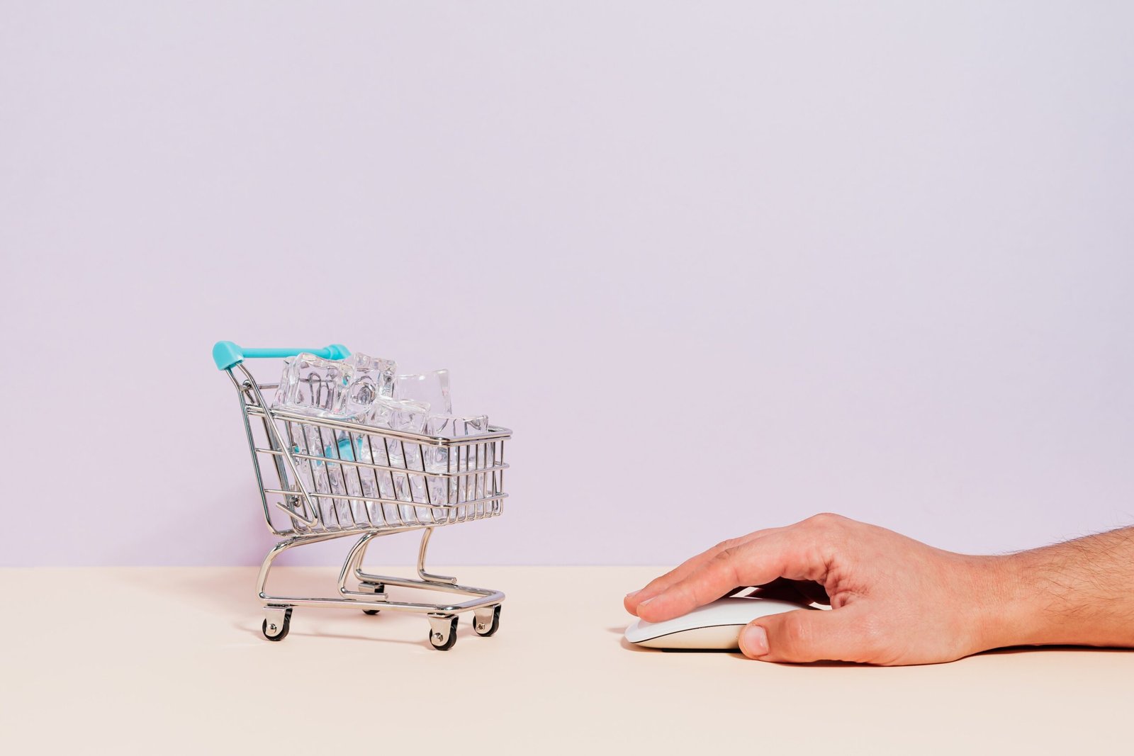 Acheter en confiance sur Petoy Store